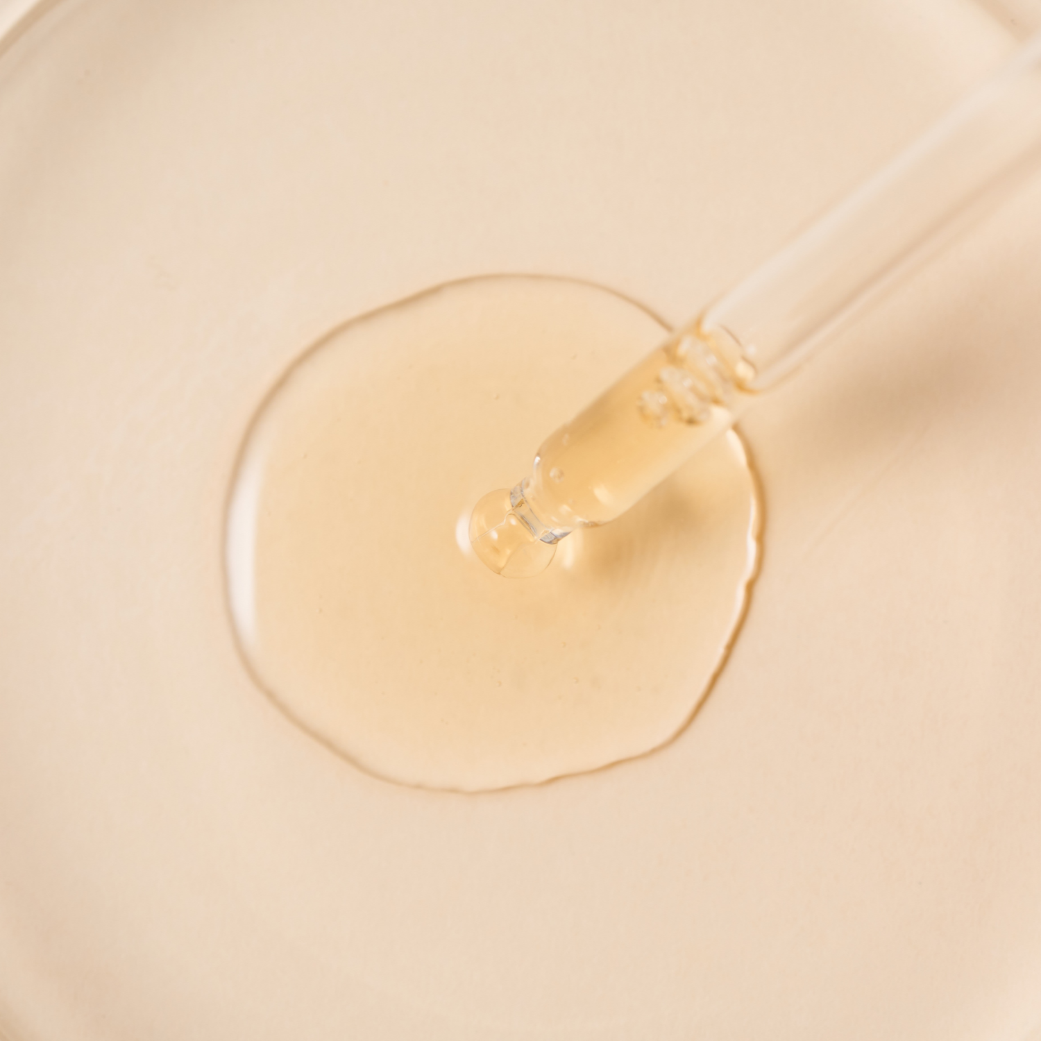 Tinh Chất Tế Bào Gốc Ampoule Medibt