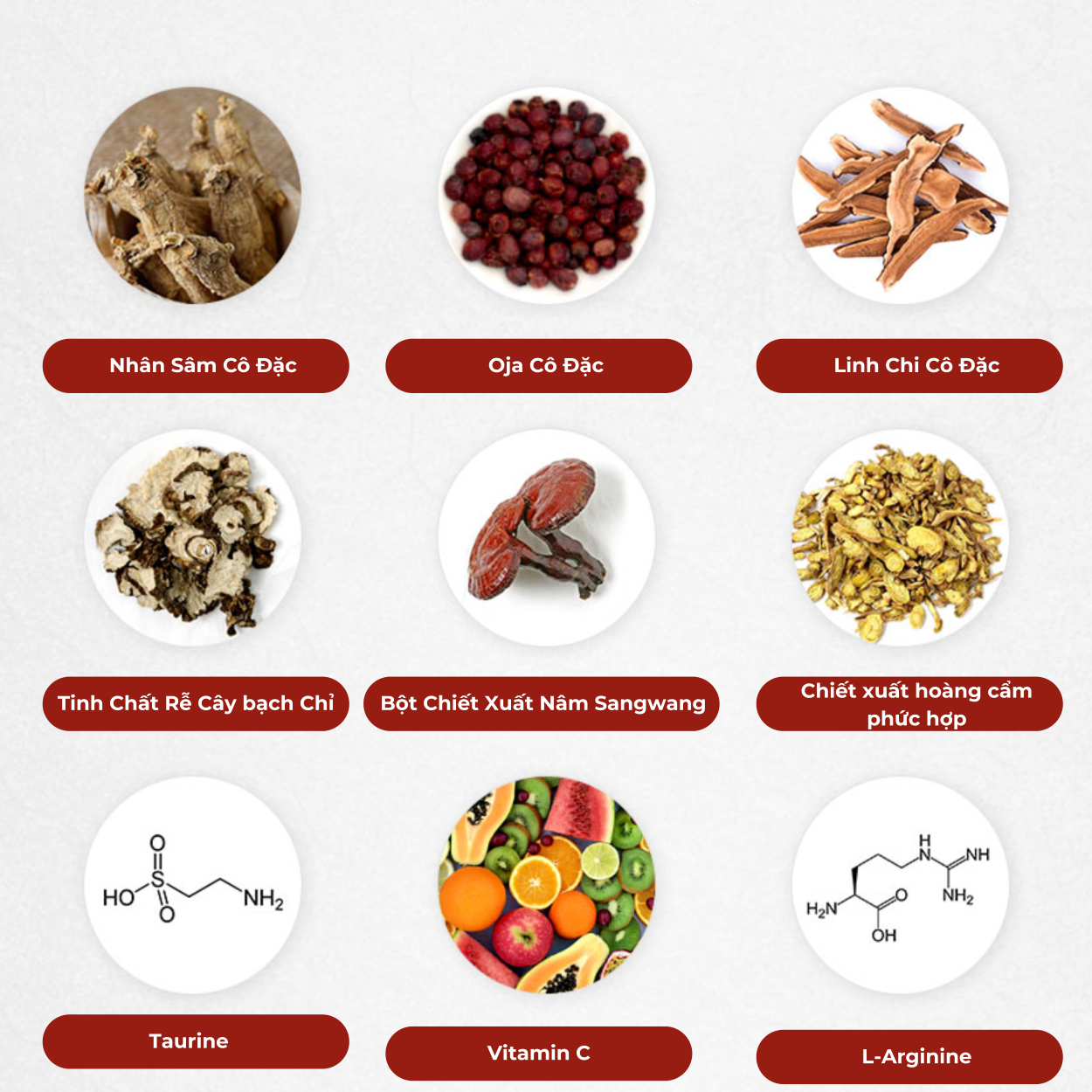 Nước Hồng Sâm Cao Cấp GC Green Cross Wellbeing