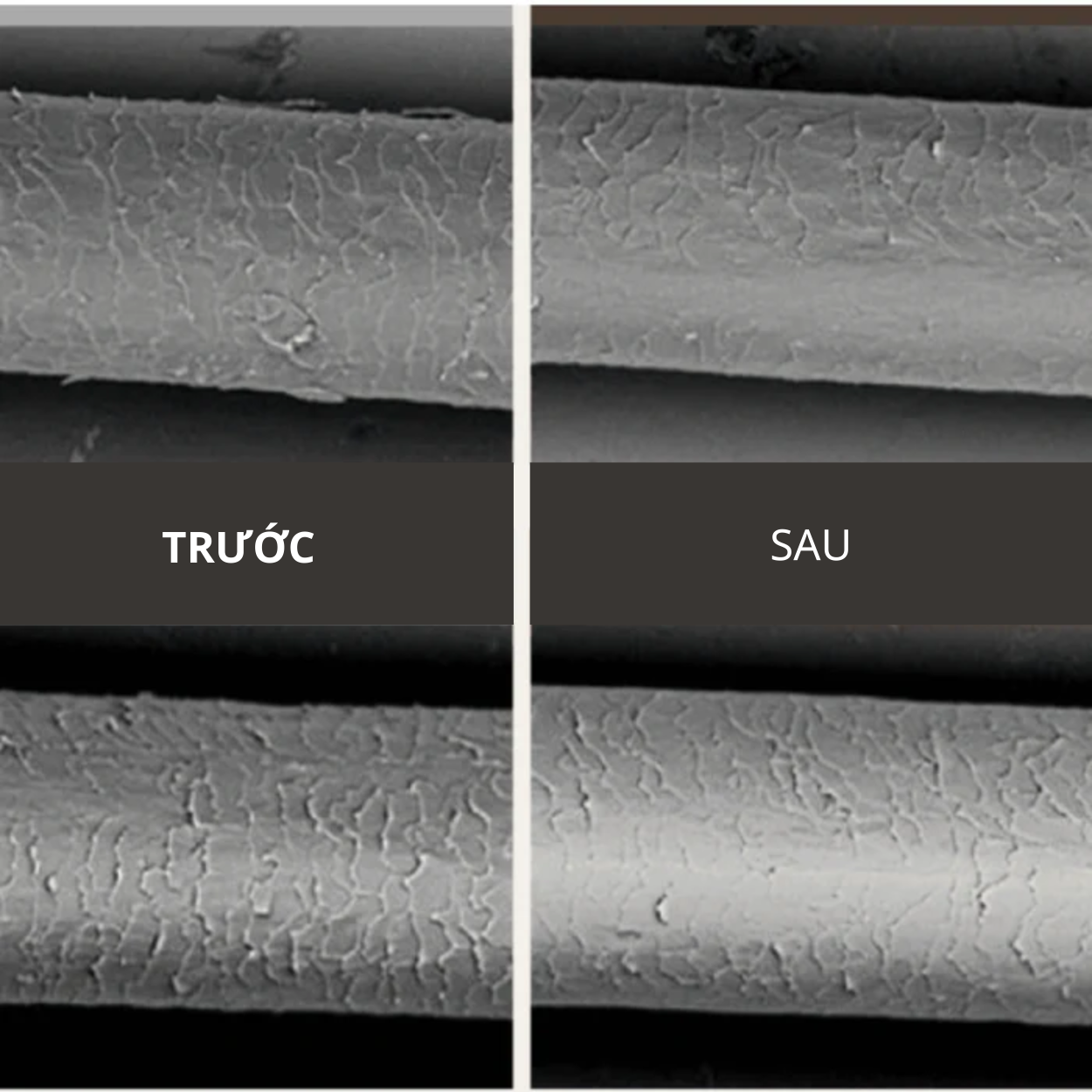 Mặt Nạ Ủ Tóc Protein Shock LPT Rootonix